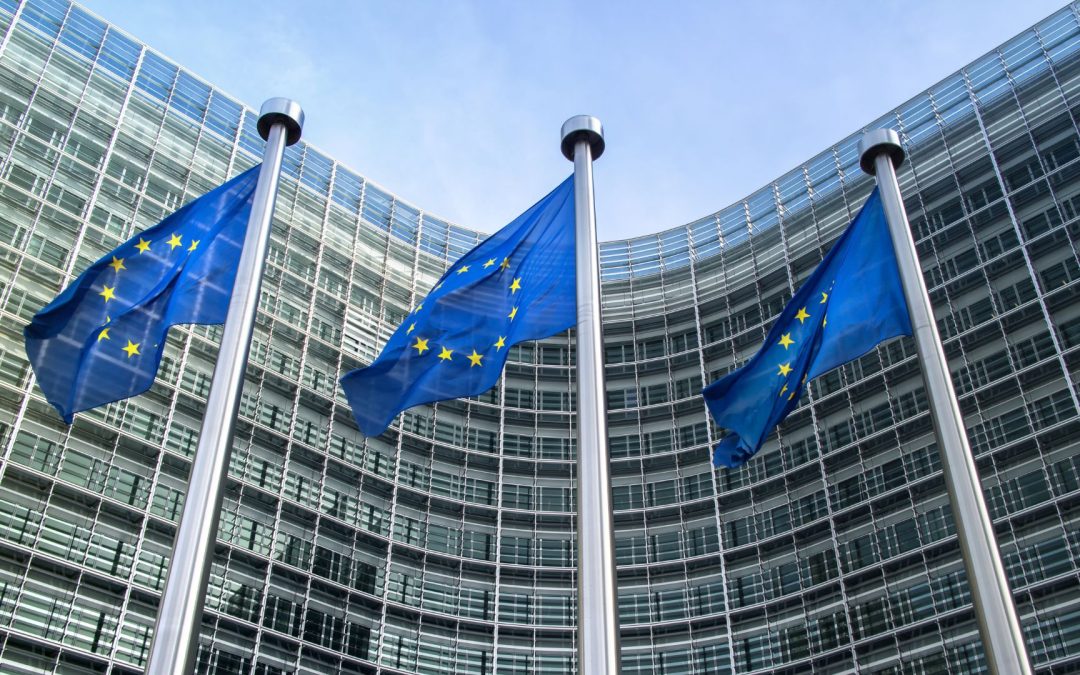 Standard di rendicontazione di sostenibilità: GRI, ESRS e VSME