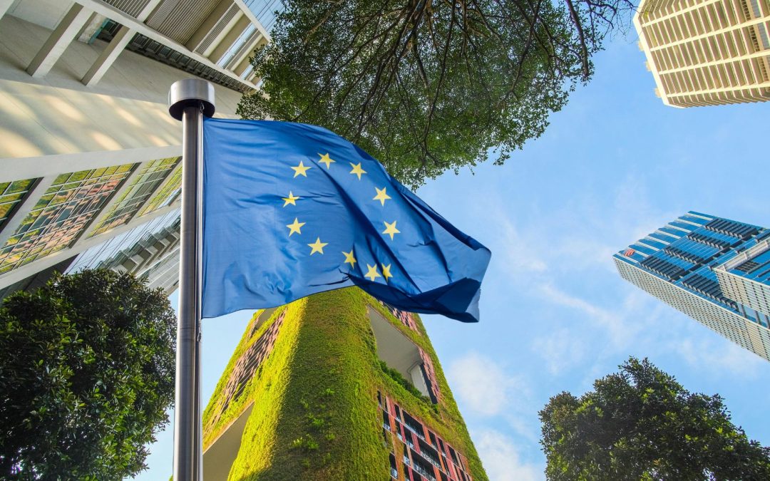 Rendicontazione di sostenibilità tra passato e futuro, come devono muoversi le aziende?